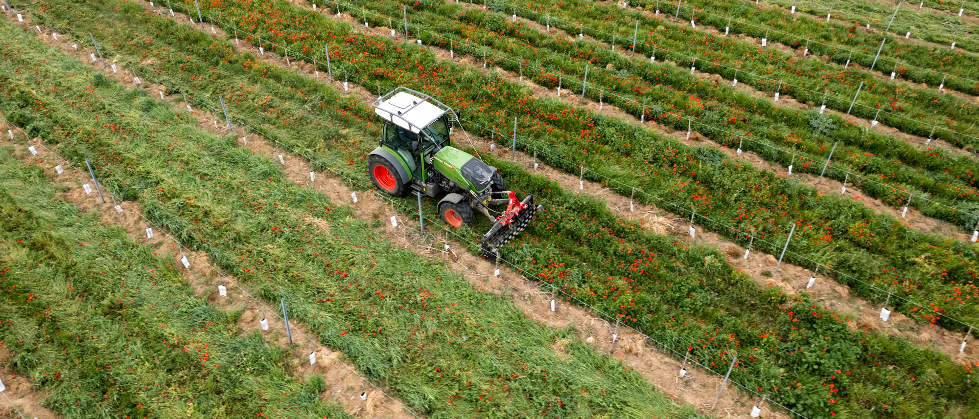Sostenibilidad agrícola: La importancia de las cubiertas vegetales