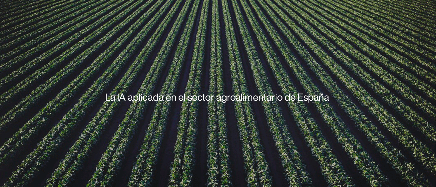 La IA aplicada en el sector agroalimentario de España
