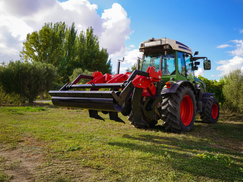 25_ID_TERRA PRO_ viña-Bodegas Bagordi-La Rioja-catalogo