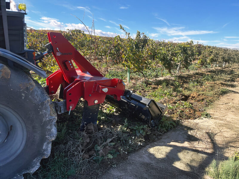 25_ID_TERRA _ viña - Bodegas Bagordi - La Rioja-detalle