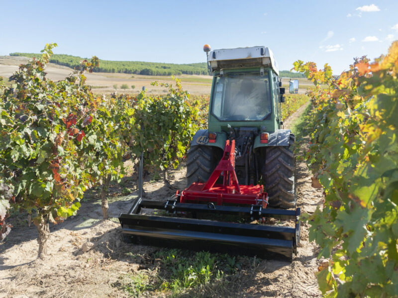 25_ID_TERRA _ viña - Bodegas Bagordi - La Rioja