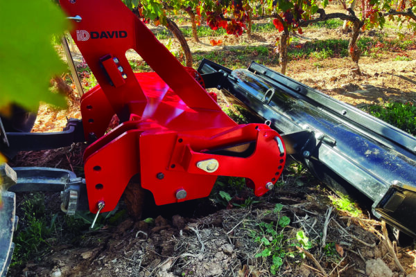 25_ID_TERRA _ viña - Bodegas Bagordi - La Rioja-trabajandojpg