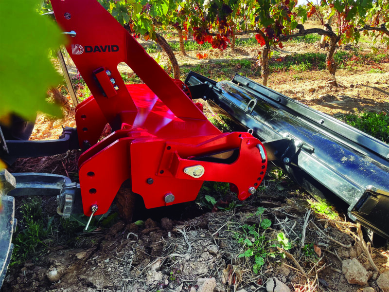 25_ID_TERRA _ viña - Bodegas Bagordi - La Rioja-trabajandojpg